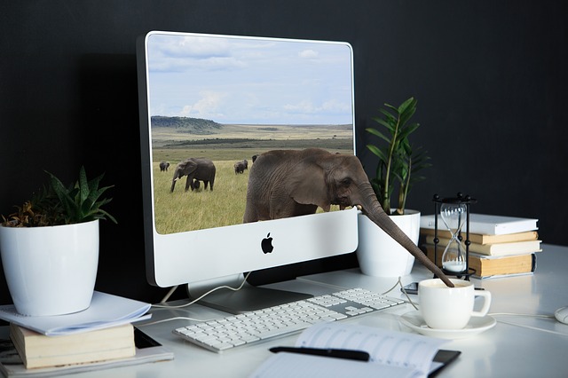 Website design in Polokwane